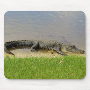 Alfombrilla De Ratón Cocodrilo americano - Niza y reservado