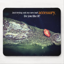 Cocodrilo en el agua