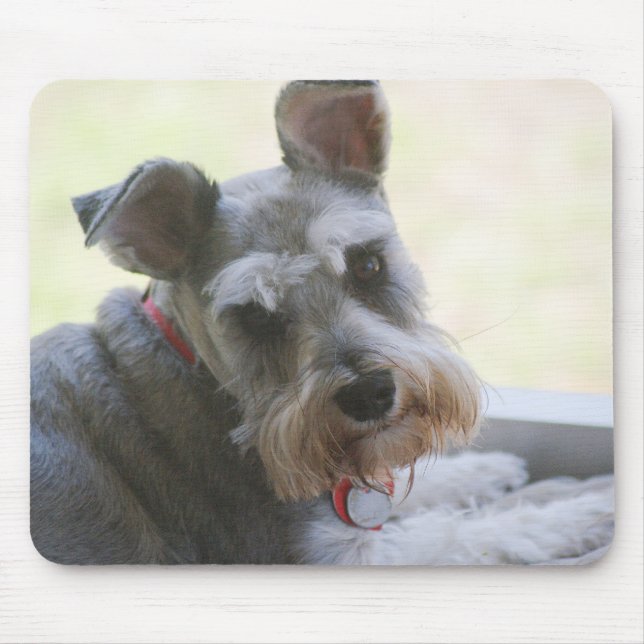 Alfombrilla De Ratón Cocos, mini mousepad del Schnauzer (Frente)