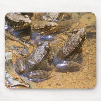 Alfombrilla De Ratón cojín de la rana