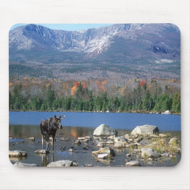 Alfombrilla De Ratón Cojín de los alces (Frente)