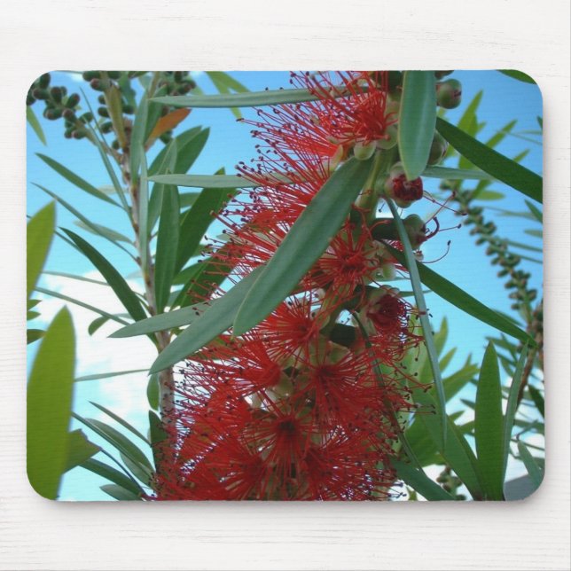 Alfombrilla De Ratón Cojín de ratón (Frente)