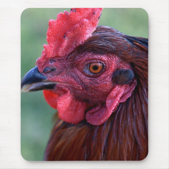 Alfombrilla De Ratón Cojín de ratón (Frente)