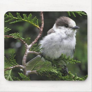 Alfombrilla De Ratón Cojín de ratón