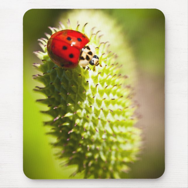 Alfombrilla De Ratón Cojín de ratón (Frente)