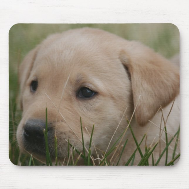 Alfombrilla De Ratón Cojín de ratón amarillo del labrador retriever (Frente)
