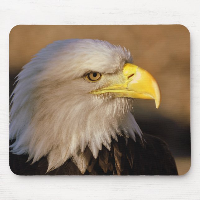 Alfombrilla De Ratón Cojín de ratón americano de Eagle calvo (Frente)