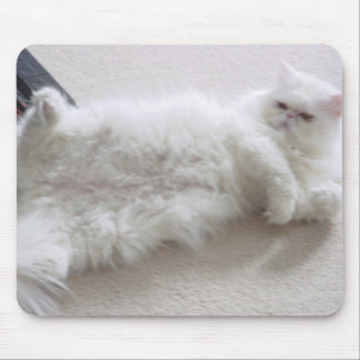 Alfombrilla De Ratón Cojín de ratón blanco del gato persa