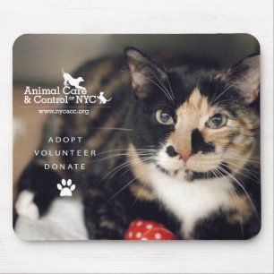 Alfombrilla De Ratón Cojín de ratón "calicó "