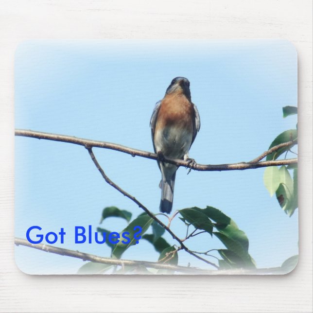 Alfombrilla De Ratón Cojín de ratón conseguido de los azules (Frente)