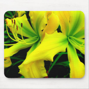 Alfombrilla De Ratón Cojín de ratón: Daylily