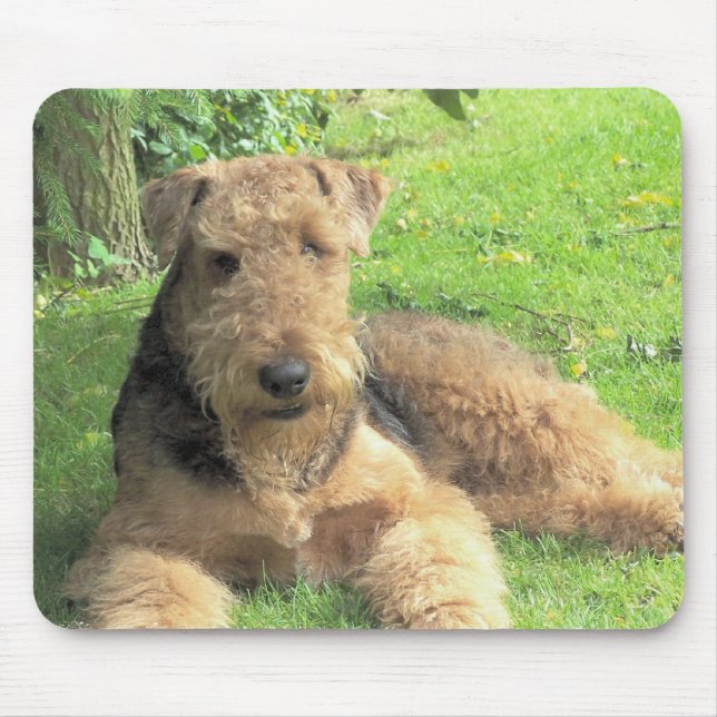 Alfombrilla De Ratón Cojín de ratón de Airedale Terrier (Frente)