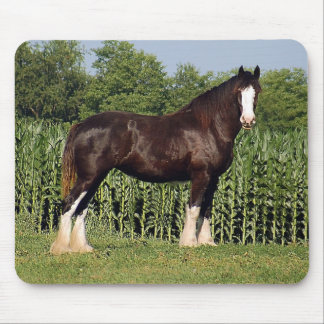 Alfombrilla De Ratón Cojín de ratón de Clydesdale