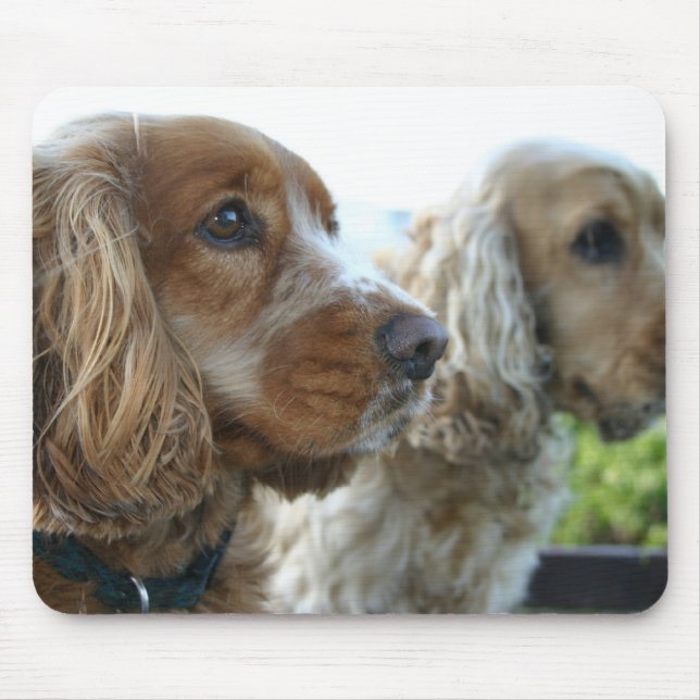 Alfombrilla De Ratón Cojín de ratón de cocker spaniel del inglés (Frente)