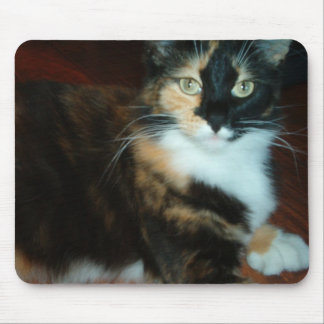Alfombrilla De Ratón Cojín de ratón de la calidad de Srta. Calico Kitty