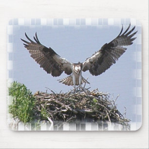 Alfombrilla De Ratón Cojín de ratón de la jerarquía de Osprey