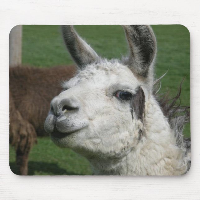 Alfombrilla De Ratón Cojín de ratón de la llama (Frente)