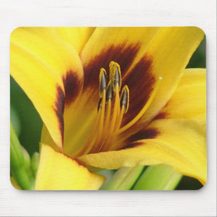 Alfombrilla De Ratón Cojín de ratón de la madrugada