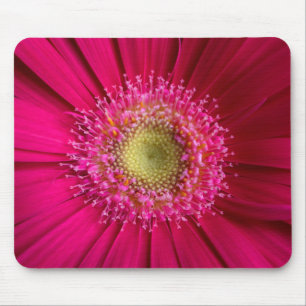 Alfombrilla De Ratón Cojín de ratón de la margarita del Gerbera