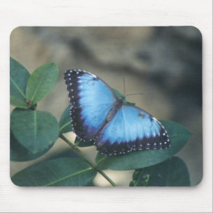 Alfombrilla De Ratón Cojín de ratón de la mariposa
