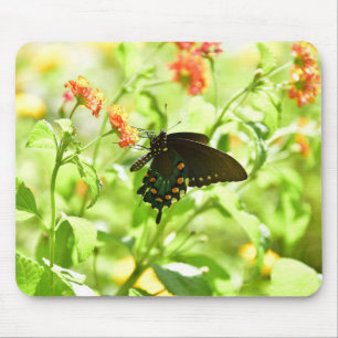 Alfombrilla De Ratón Cojín de ratón de la mariposa