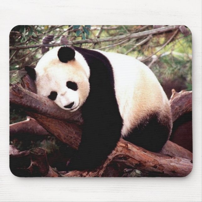 Alfombrilla De Ratón Cojín de ratón de la panda el dormir (Frente)