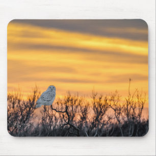 Alfombrilla De Ratón Cojín de ratón de la puesta del sol del búho