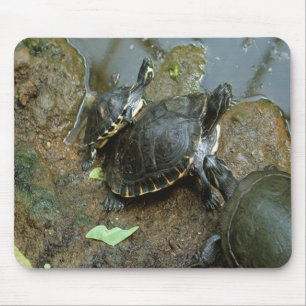 Alfombrilla De Ratón Cojín de ratón de la tortuga