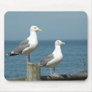 Alfombrilla De Ratón Cojín de ratón de las gaviotas