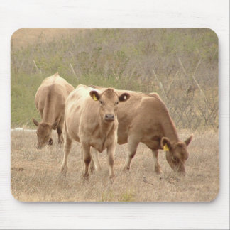 Alfombrilla De Ratón cojín de ratón de los grises de Murray