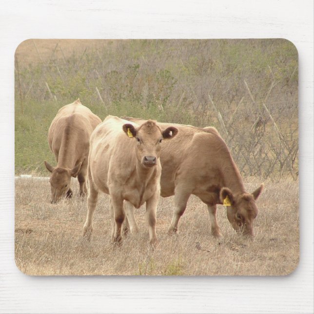 Alfombrilla De Ratón cojín de ratón de los grises de Murray (Frente)