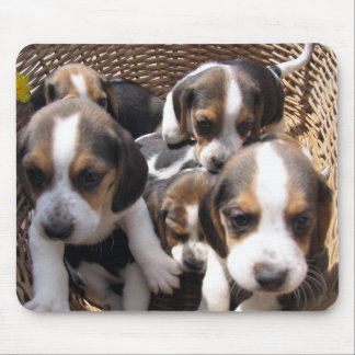 Alfombrilla De Ratón cojín de ratón de los perritos del beagle