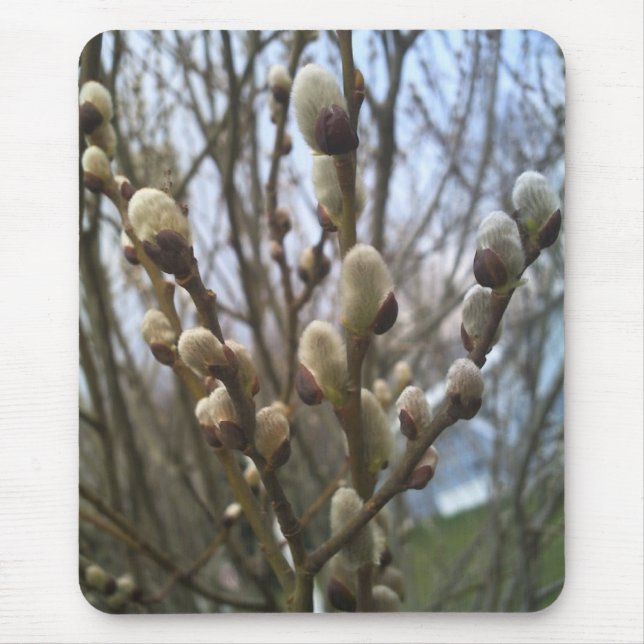 Alfombrilla De Ratón Cojín de ratón de los sauces de gatito (Frente)
