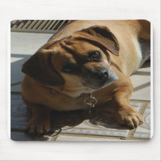 Alfombrilla De Ratón Cojín de ratón de Puggle