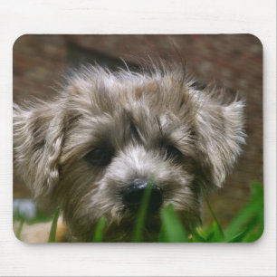 Alfombrilla De Ratón Cojín de ratón de Pupppy