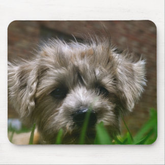 Alfombrilla De Ratón Cojín de ratón de Pupppy