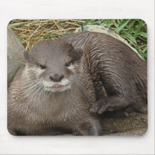 Alfombrilla De Ratón Cojín de ratón de reclinación de la nutria