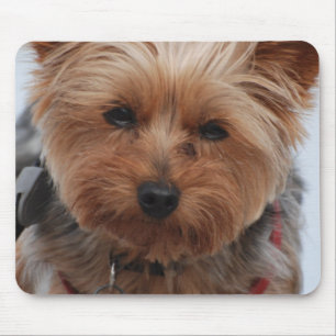 Alfombrilla De Ratón Cojín de ratón de Yorkie