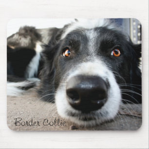 Alfombrilla De Ratón Cojín de ratón del border collie