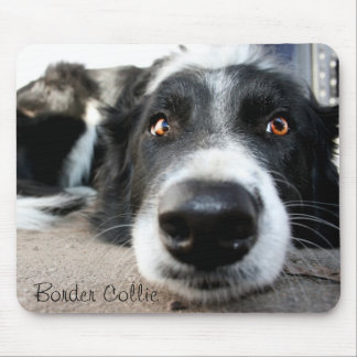 Alfombrilla De Ratón Cojín de ratón del border collie