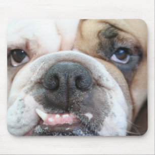 Alfombrilla De Ratón Cojín de ratón del bulldog