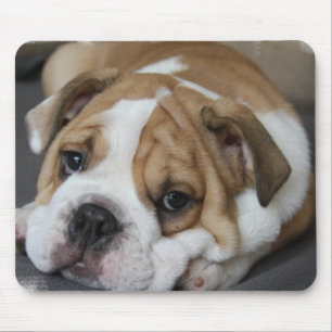 Alfombrilla De Ratón Cojín de ratón del bulldog el dormir
