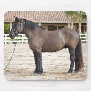 Alfombrilla De Ratón Cojín de ratón del caballo de proyecto