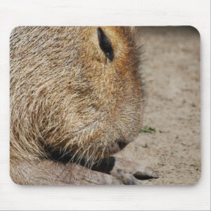 Alfombrilla De Ratón Cojín de ratón del Capybara