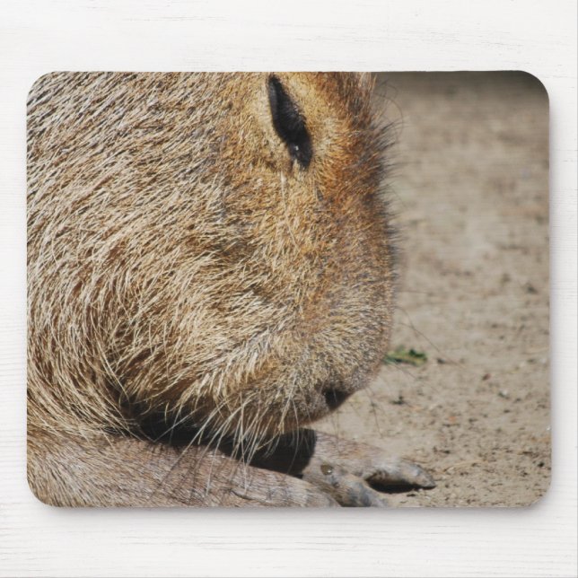 Alfombrilla De Ratón Cojín de ratón del Capybara (Frente)