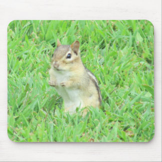 Alfombrilla De Ratón Cojín de ratón del Chipmunk