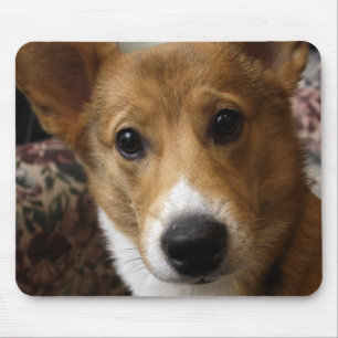 Alfombrilla De Ratón Cojín de ratón del Corgi del Pembroke
