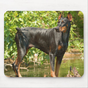 Alfombrilla De Ratón Cojín de ratón del Doberman
