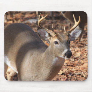 Alfombrilla De Ratón Cojín de ratón del dólar del Whitetail