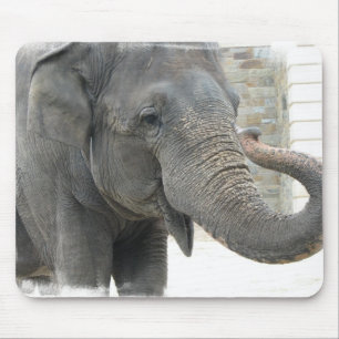 Alfombrilla De Ratón Cojín de ratón del elefante el tocar la trompeta